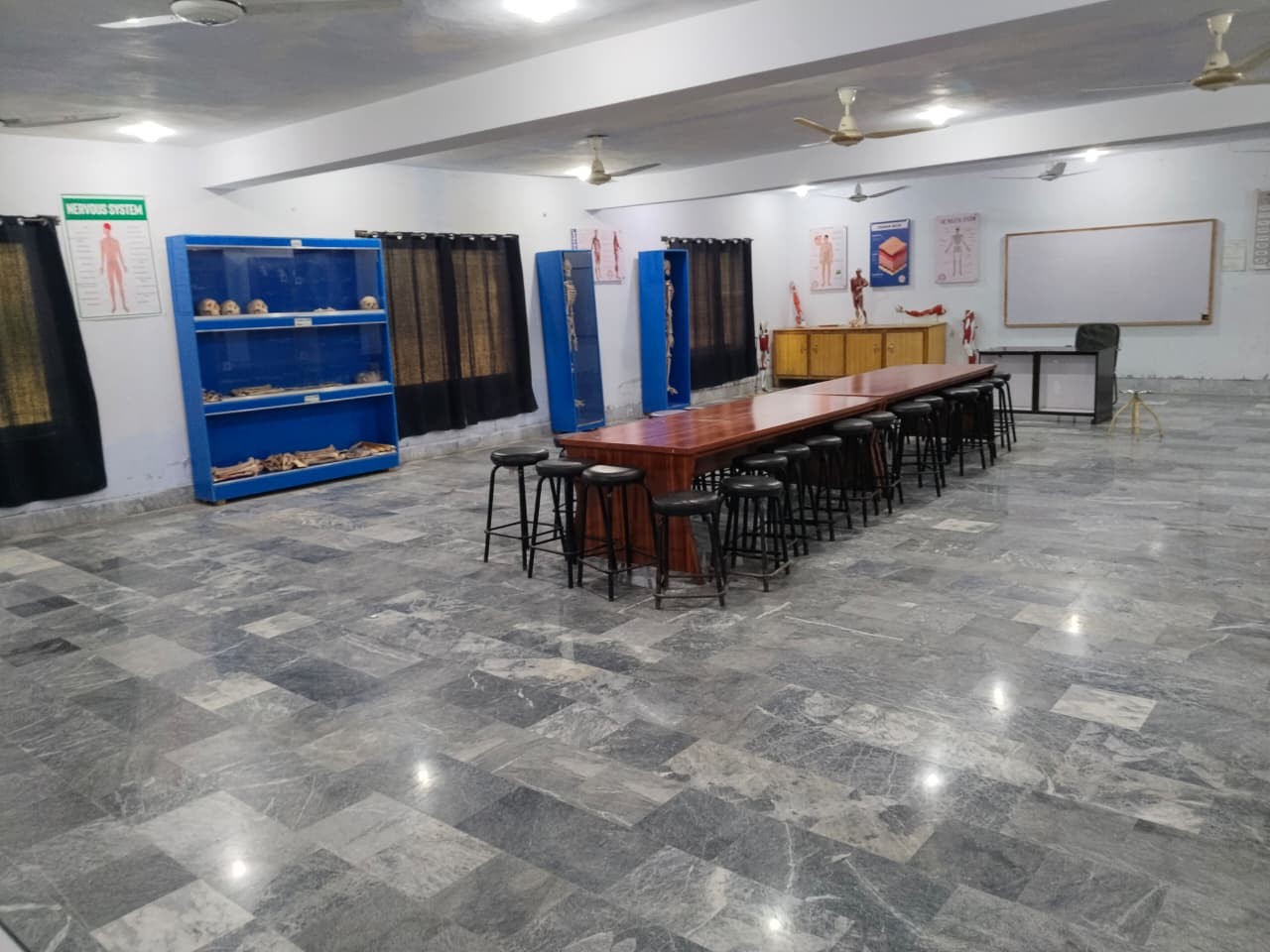 Anatomy Practical Laboratory & Specimen Center